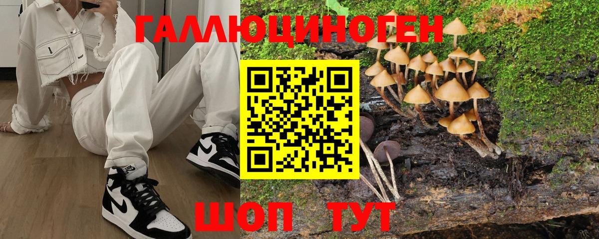 Химки  Псилоцибиновые грибы GOLDEN TEACHER  Вход с VPN 